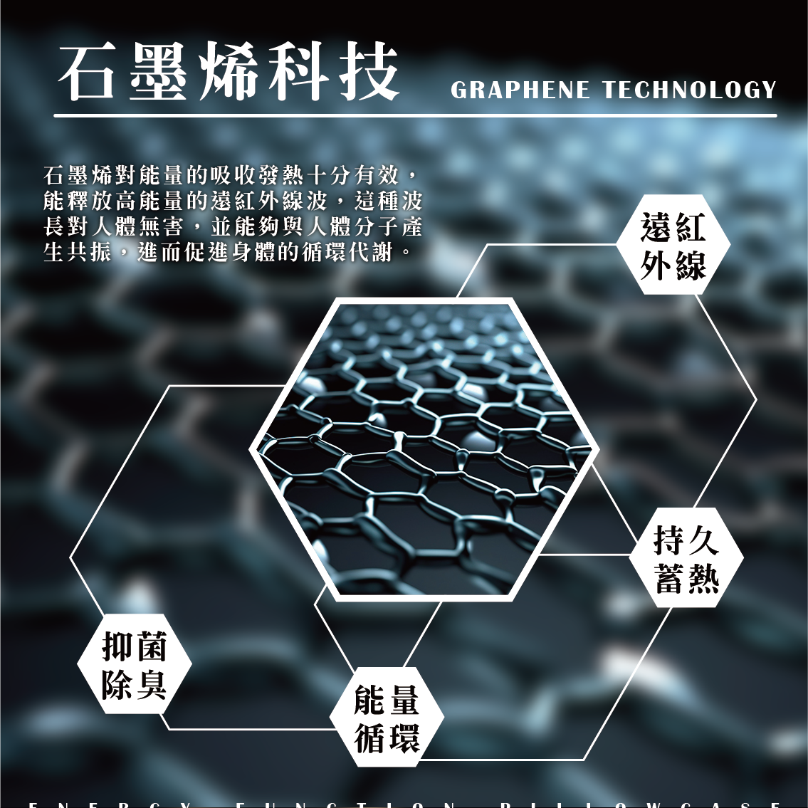 【安德森 保羅】 石墨烯科技鍺能量枕頭套