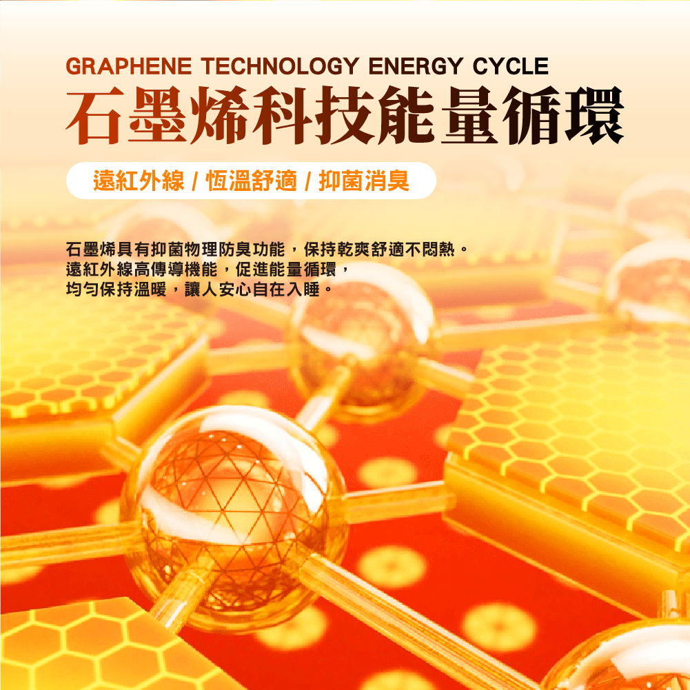 【安德森 保羅】石墨烯黑金 遠紅外線絲絨枕