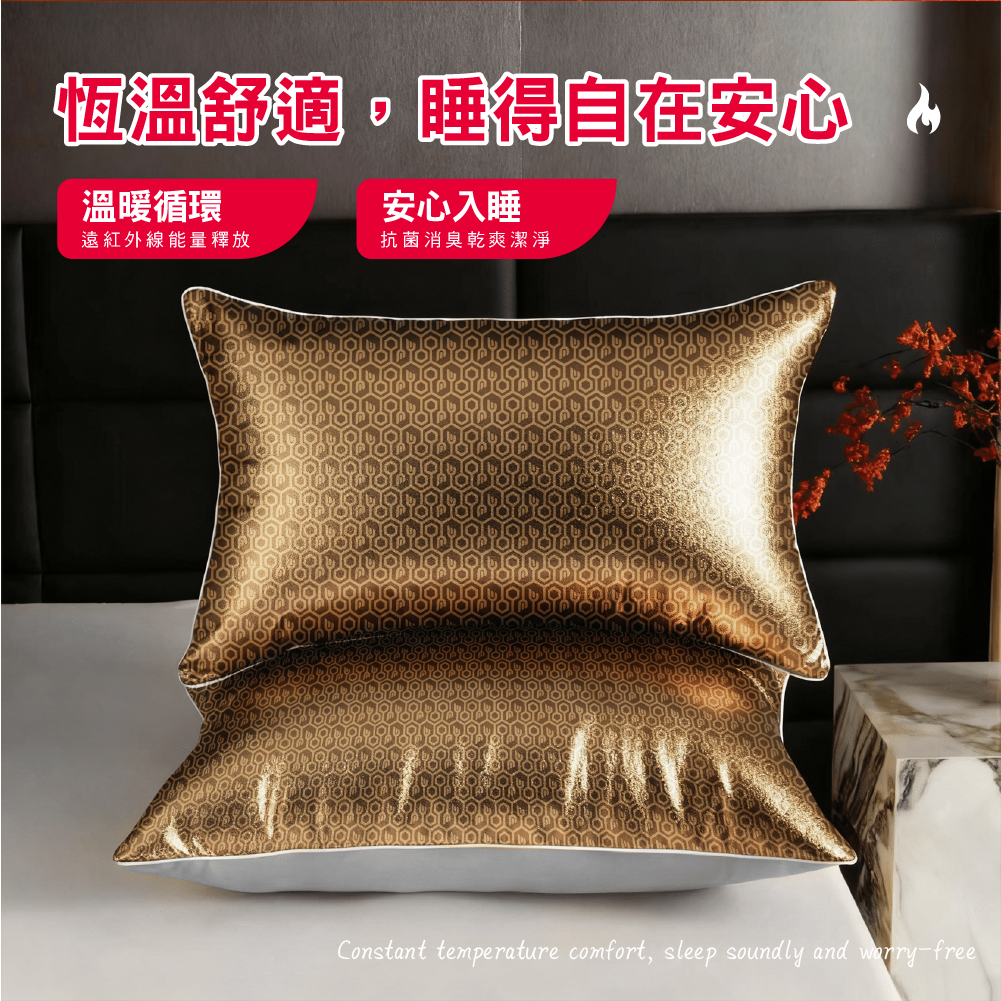 【安德森 保羅】石墨烯黑曜 循環枕頭套